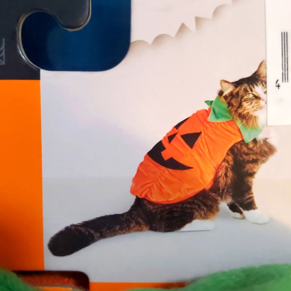 Orange Pumpkin Pet Costume
